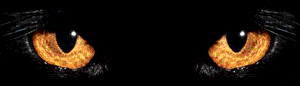 Animated cat eyes blinking GIF from Freightpimps Geocities site